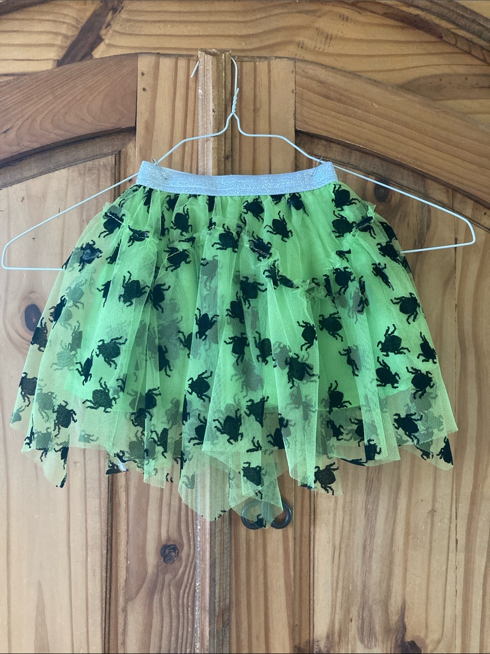 Girls Beetlejuice green black tulle lace skirt costume size 18 months